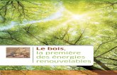 Le bois la première des énergies renouvelablesobservatoire.franceboisforet.com/wp-content/uploads/2014/06/Bois... · d’une chaudière classique, le coût du combustible bois,