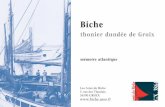 mémoire atlantique - lebiche.com · Biche thonier dundée de Groix mémoire atlantique Les Amis du Biche 5, rue des Thoniers 56590 GROIX