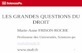LES GRANDES QUESTIONS DU DROIT - …mafrisonroche.phpnet.org/IMG/pdf/cours_1.pdf · Vocabulaire juridique, Cornu, Gérard, Quadrige, 2007. MAFR, Grandes Questions du Droit. 7-Le pluralisme