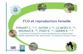 FCO et reproduction FCO et reproduction femellefemelle · – taux de non retour (TNR) :-6% à 56 jours et de 12 % à 90 jours entre les élevages foyers et les élevages non-foyers,