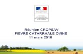 Réunion CROPSAV FIEVRE CATARRHALE OVINE 11 …draaf.pays-de-la-loire.agriculture.gouv.fr/IMG/pdf/2016_03_11CROPS... · - diminuer le taux d’attaque et le taux de gorgement (un