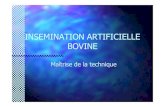 INSEMINATION ARTIFICIELLE BOVINE - …sydepapre.free.fr/Files/9_repro_ia.pdf · ––Apparition de lApparition de l’oestrus plus tardive si le follicul ’oestrus plus tardive