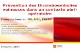 Prévention des thromboembolies veineuses dans un contexte ... · Prévention des thromboembolies veineuses dans un contexte péri-opératoire François Lauzier, MD, MSc, FRCPC ...