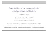 Energie libre et dynamique réduite en dynamique moléculaire · Energie libre et dynamique réduite en dynamique moléculaire Fred´ eric Legoll´ Ecole des Ponts ParisTech et INRIA