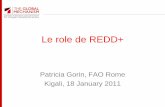 Le role de REDD+ - Food and Agriculture …€Ÿest ce que le REDD+ et pourquoi est ce important? Définitions: • RED –Réduire les Emissions de la Déforestation • REDD –Réduire
