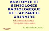 ANATOMIE ET SEMIOLOGIE RADIOLOGIQUEs502503c1c2c1db36.jimcontent.com/download/version... · ANATOMIE ET SEMIOLOGIE RADIOLOGIQUE DE L’APPAREIL URINAIRE - Dr Elouni Salhi Fatma * ANATOMIE