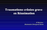 Traumatisme crânien grave en Réanimationurgences-bretagne.fr/les formations/01 jpmu/PEC REA ploer2007.pdf · • craniectomie décompressive ... Mannitol : 0,5 à 1 g kg-1 en 20