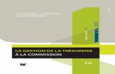 Rapport spécial - europarl.europa.eu€¦ · Rapport spécial no 5/2009 — La gestion de la trésorerie à la Commission 2 COUR DES COMPTES EUROPÉENNE 12, rue Alcide De Gasperi
