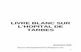 LIVRE BLANC sur l'Hopital de TARBESps65.free.fr/LIVRE BLANC sur l'Hopital de TARBES.pdf · l’enrichir et qu’il serve à la nécessaire mobilisation pour ... public hospitalier