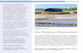 Le Poitou-Charentes - VICI – Solutions restauration ... · Gnocchi de polenta 0,17 Chou-fleur béchamel 0,32 ... Roses des sables 0,25 Kiwi Gold 0,66 Soupe de nectarine ... - Faire
