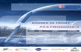 DOSSIER DE PROJET Matriochka - planete-sciences.org · Chef & Projet 5A - Etude Thermique -Membre Partie ... AMDEC par carte ... A.1. Caractéristiques du moteur ...
