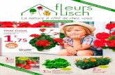 Les saveurs de l’été - fleurslisch.fr · La boite de 200 g 37,75€ / kilo Jardinière ... un bon plan, des ... - Fertilisation modérée - Entretien facile