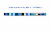 Rénovation du BP COIFFURE - SBSSAsbssa-lp.ac-orleans-tours.fr/fileadmin/user_upload/sbssa/dossier... · Réaliser des techniques gestuelles de détente du cuir chevelu Indicateurs