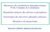 Hormones du métabolisme phosphocalcique PTH, Vitamine D ...julioone.free.fr/calcium.pdf · PTH, Vitamine D, Calcitonine Régulation intégrée du calcium et phosphates Sémiologies