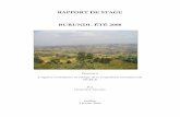 RAPPORT DE STAGE - aceci.orgaceci.org/documents/Rapport-GL.pdf · L’agriculture au Burundi occupe une place plus que prépondérante, et ce tant dans la vie sociale qu’économique