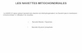 LES NAVETTES MITOCHONDRIALES - t1nker.bell.free.frt1nker.bell.free.fr/bioch/allouche/chainerespi2006.pdf · prostéthiques : FMN et 6 centres Fe / S ... • Mobile dans la membrane
