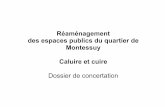 Dossier de concertation relatif à l’aménagement des ... · - la rue de Montessuy entre la voie verte de la Dombes ... Créer des parvis qualitatifs et sécurisés pour ... ¼