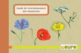 Guide de reconnaissance des messicoles - L'Eure en … · Préface U n plan départemental d’ac-tions en faveur des fleurs des champs est mis en place par le Département de l’Eure