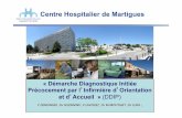 Centre Hospitalier de Martigues - copacamu.comcopacamu.com/files/11/9H00-MOUYSSET.pdf · niveau 2 urgences niveau 3 urgences stables. le role de l ...