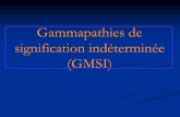 Gammapathies de signification indéterminée (GMSI)medecine.ups-tlse.fr/du_diu/2015/20_01_2015/GMSI.pdf · • L’évolution est suivi sur le pic à l’EPP. Kyle, R. et al. N Engl