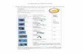 La réplication de l ADN et la mitoselycee.nicolas-cohen.org/fichiers/fichiers_pdf/replication_adn... · Recouvrir l'échantillon d'une solution d'orcéine et laisser agir pendant