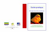 Élevage de poules pondeuses - IGAD-Gabon€¦ · LA CONDUITE DE LA PHASE DE DEMARRAGE 1 - LA POUSSINIERE 2 - L’ELEVAGE DES POUSSINS SOMMAIRE GENERAL La conduite de la phase de