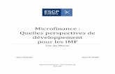 Microfinance : quelles perspectives de développement … · Maroc, de leur action sur le terrain, de leur impact… Mais je n’ai jamais pris conscience de leur taille, ni de leur
