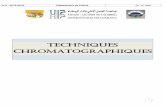 TECHNIQUES CHROMATOGRAPHIQUES - Licence …lpagrocasa.e-monsite.com/medias/files/module-m-53.pdf · 2016-01-04 · Les courbes de Van Deemter 4.4. Théorie de l’élargissement des