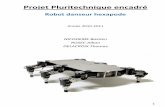 Projet Pluritechnique encadré - lycee-polyvalent-elorn ...lycee-polyvalent-elorn-landerneau.fr/SIElorn/robot/PPE_robot... · 1 Projet Pluritechnique encadré Robot danseur hexapode