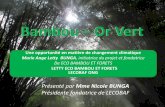 Bambou – Or Vert BUNGA Présentation B… · A cet effet, la préservation de l’environnement, leitmotiv de LECOBAF ONG, a porté le choix sur le bambou. Cette plante hors du