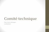 Comité technique - Pays Centre Bretagne · VOTRE INSCRIPTION DANS LES GROUPES DE TRAVAIL . 1 ... •Recherche et analyse documentaire ... un CHRS - Une journée de lutte contre la