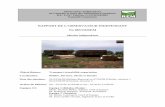 RAPPORT DE L’OBSERVATEUR INDEPENDANT No … · SEPBC: Société d’Exploitation des Parcs à Bois au Cameroun ... Le bois dit sauvage, dont la plus grande partie transite par le