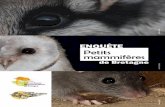 ENQTE Petits mammifères - gmb.bzhgmb.bzh/wp-content/uploads/2017/01/FlyerRatLérotBD.pdf · Répartition connue du Rat noir (données très partielles) Le Lérot Eliomys quercinus