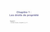 Chapitre 1 : Les droits de propriétéfabrice.rochelandet.free.fr/transparents1.pdf · • chaque individu dispose d'un droit naturel pour entreprendre n'importe quelle action en