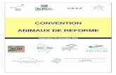 convention Animaux De Reforme E - Marche-porc · Convention "animaux de réforme" – Application 22 no vembre 2010 4 La pesée sera faite par les agents d'UNIPORC OUEST que l'abattoir
