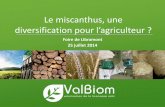 Le miscanthus, une diversification pour l’agriculteurvalbiom.be/files/library/Even-Vignettes/Confeence-Libramont/2... · Plan de l’exposé Présentation de ValBiom Le miscanthus,
