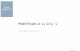Profil Financier du CAC 40 - piketty.pse.ens.frpiketty.pse.ens.fr/files/RicolLasteyrie_ProfilCAC40_2012.pdf · Structure financière 14 ... Nous remercions le lecteur du « Profil