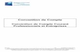 Convention de Compte - Banque Populaire. … CLCE0003 (v 01-05-2016 01) La présente convention de compte courant (ci-après la « Convention ») a pour objet de fixer les conditions
