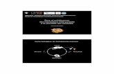 Cycle biologique de Schistosoma mansoni - edu.upmc.fr · 1 Sexe et schistosome: des interactions hôte-parasite à la sexualité des parasites Jérôme Boissier UMR 5244 . Biologie