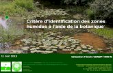 Critère d’identification des zones humides à l’aide de … · Critère d’identification des zones humides à l’aide de la botanique ... fleurs nodales) Bidens cernua (Bident