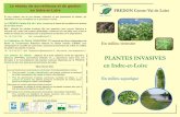 PLANTES INVASIVES en Indre-et-Loire - fredon … · Pour tout public : le guide d’identification des plantes exotiques envahissant ... Fleurs jaunes de 3 à 5 cm de diamètre à