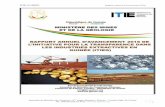ITIE-GUINEE Rapport Annuel d’Avancement 2016 · PAGSEM: Projet d’Appui à la Gouvernance dans le Secteur Minier PAPEGM : Projet d’Appui à la Planification Economique et à