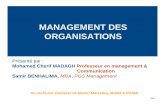 MANAGEMENT DES ORGANISATIONSd1n7iqsz6ob2ad.cloudfront.net/document/pdf/537e331ef3f7c.pdf · Au profit des étudiants de Master Marketing (INSIM & PGSM) page 2 Organisation: Structures,