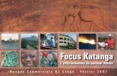 Focus Katanga - mcmanagement.be · - les secteurs brassicole et agro-alimentaire (BRALIMA, BRASIMBA, ... treprise, ensuite la présentation d’un plan de redressement et de sauvetage
