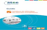 Guide - ATEEatee.fr/.../2016_11_18_Guide_pratique_ATEE_solutions_telereleve.pdf · Guide pratique ATEE – Solutions de télérelève des données énergétiques 6 Les solutions abordées