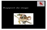 Rapport de stage - celiagiglio.esy.esceliagiglio.esy.es/wp-content/uploads/2014/12/Rapport-de-stage... · Rapport de stage. I. Présentation de la maison d'édition I. 1. Fiche technique