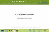 Amapá - guyane.developpement-durable.gouv.fr · Population impaludée 2005-2012 Opérations thématiques . Mise à disposition des produits Guyamapá GÉO-CATALOGUE GUYAMAPÁ Données