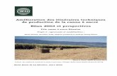 Amélioration des itinéraires techniques de production …agritrop.cirad.fr/526133/1/document_526133.pdf · cours, les principaux résultats 2003, les perspectives et les documents