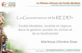 La Gouvernance et la REDD+ - · PDF filehumides et les forêts sur pied - Incompréhension des régimes de ... Qualité organisationelle Coordination Efficacité et Efficience Monitoring