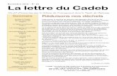 La lettre Cadeb · Les compétences de la CCBS Pages 4 Les propositions du Cadeb pour la Boucle Page 5 Il faut corriger Eole Page 6 ... de cabinet d’Héléne Gassin, vice- ... des